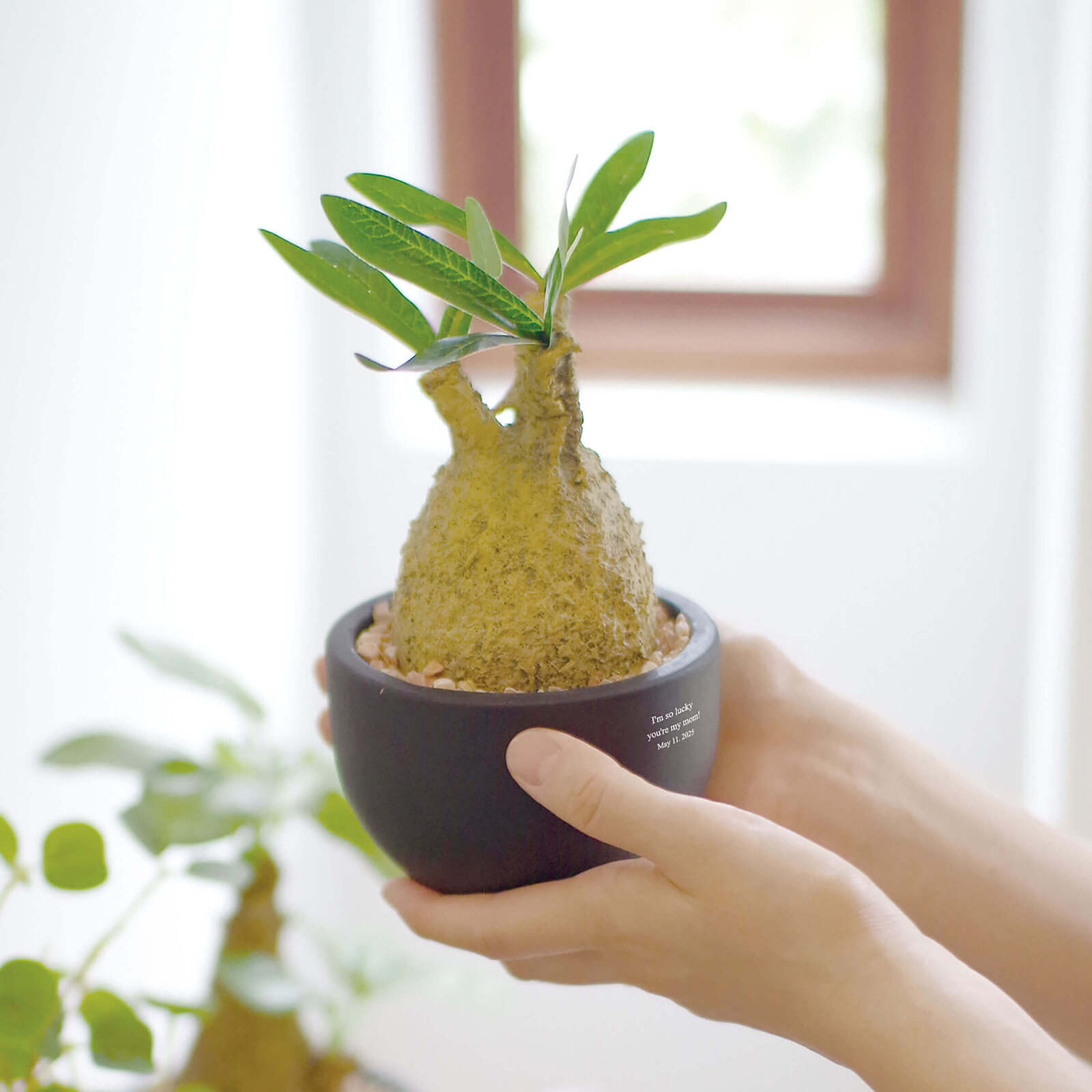 記念品 アイデア 1469507977