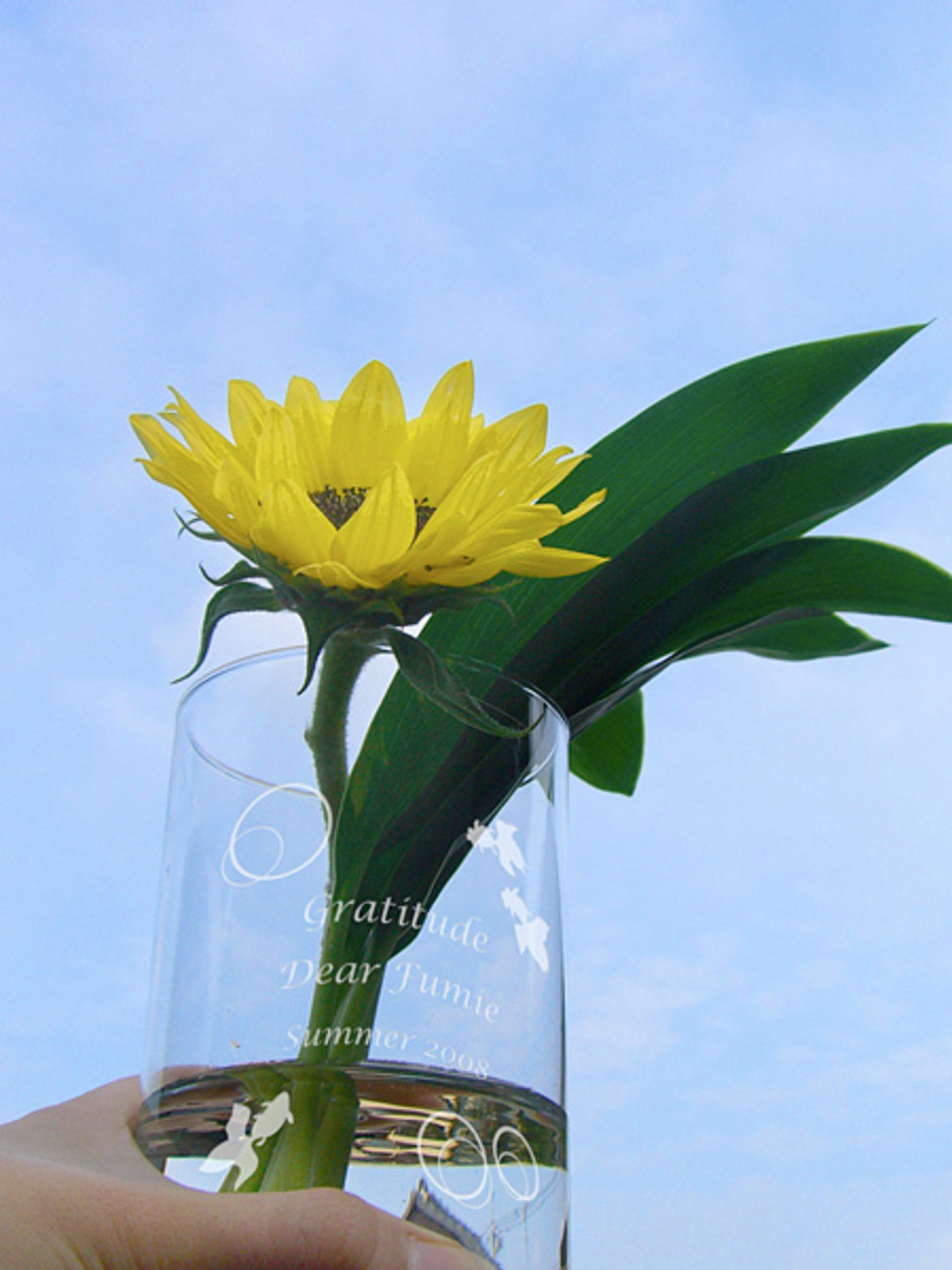 母の日 アイデア 1224567225