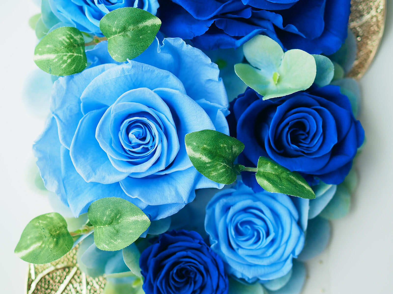 最も人気のある 美しい花 おしゃれ 青い 薔薇 壁紙